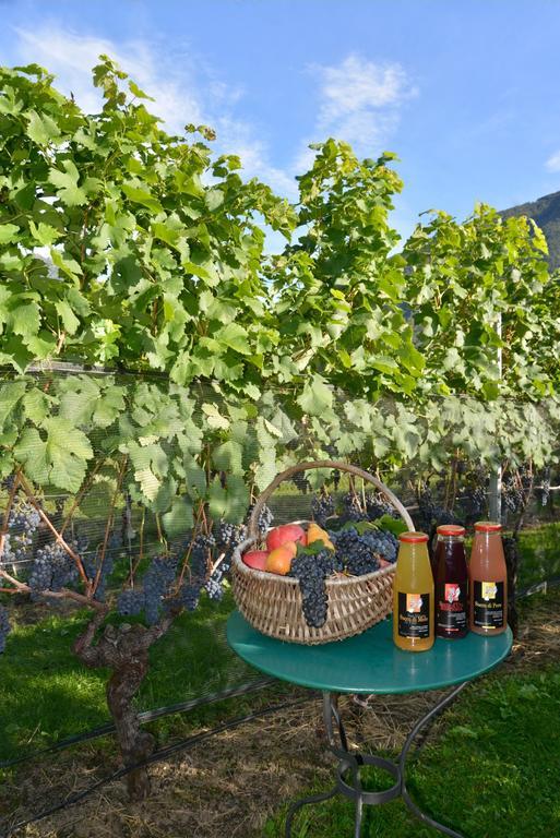 Bed And Breakfast Da Kaethy Agriturismo Grono Luaran gambar